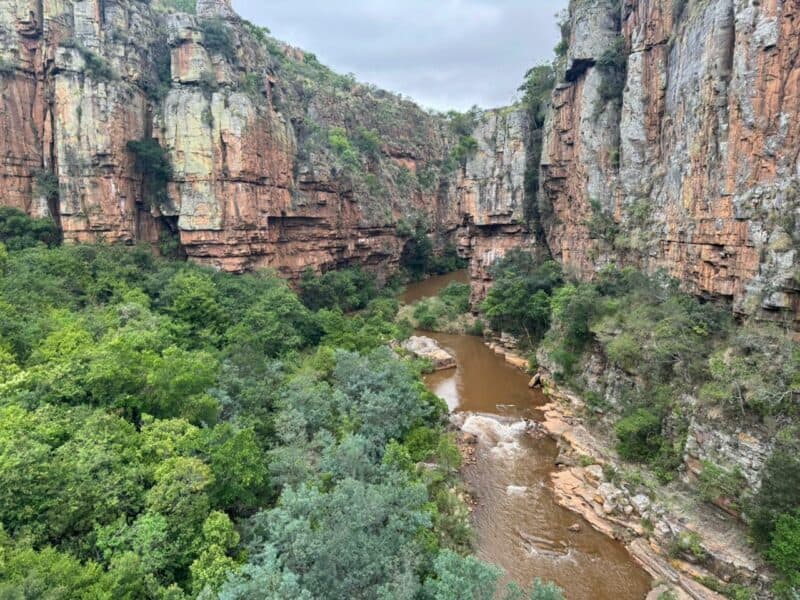 The pin location in the Blyde River Canyon where they were found. 
