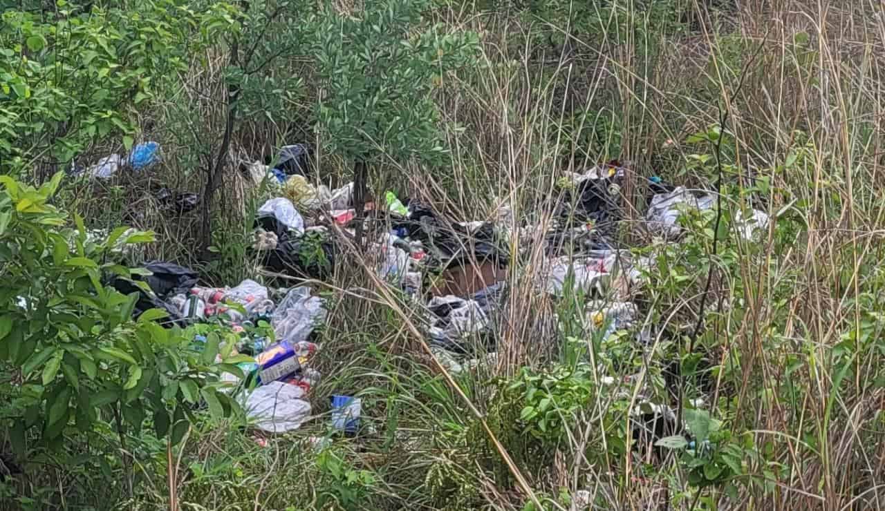Some of the garbage's that were dumped on the bushes in KaMagugu road.
