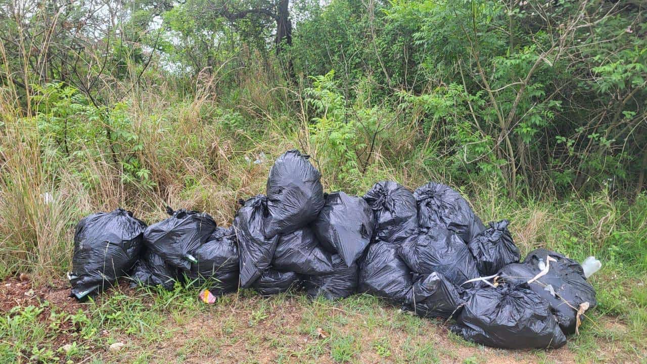 Piles of refuse bags illegally dumped next to the road.