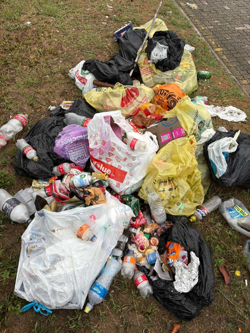 Garbage dumped on the side of the road.