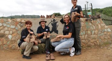 Allison Linde, Petronel Nieuwoud, Naranda Leeuwner en Bernadette Kruger.