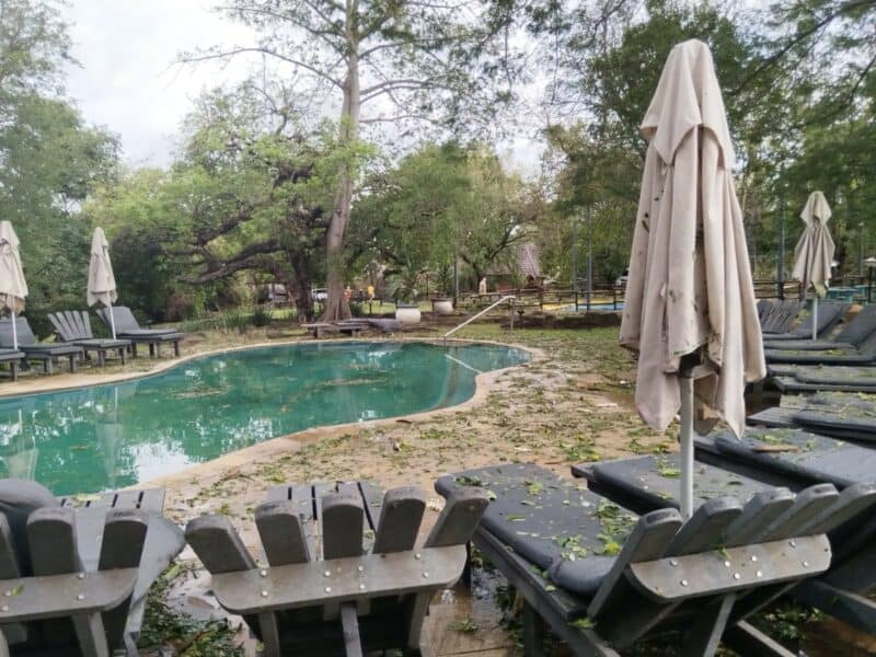 Branches and trees scattered at the pool.