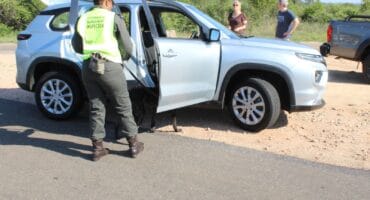 A dog assists with a vehicle inspection in the Kruger Park. > Photo: Tumelo Waga Dibakwane