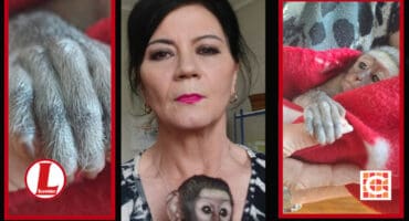Lize Pienaar van die DBV saam met die piepklein blouapie. > Foto’s: Verskaf