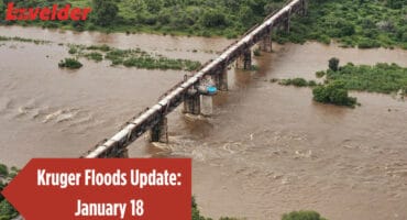 The Shalati train on the bridge over the Sabie River in Skukuza. > Photos: Supplied/SANParks