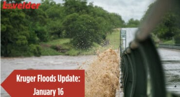 Letaba High-Level Bridge. > Photo: Supplied/Lisl Moolman