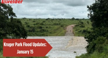Crocodile River in flood. > Photo: Supplied/Darryl Sheedy