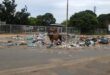 A cow grazes in a pile of rubbish in front Dwarsloop’s municipal building. > Photo: Riot Hlatshwayo