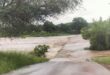 Sand River bridge in flood. > Photo: Supplied/SANParks
