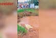 The stream where the boy's body was found. > Photo: Supplied/Mpumalanga SAPS
