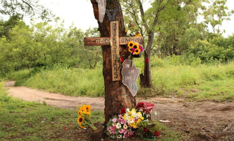 Die boom langs die R40 waar die ongeluk plaasgevind het. 