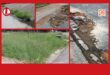 Some of the damaged roads and overgrown grass. > Photos: Tumelo Waga Dibakwane