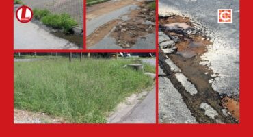 Some of the damaged roads and overgrown grass. > Photos: Tumelo Waga Dibakwane