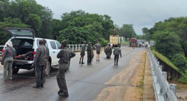 Park rangers rescue the rhino. > Photos: Sourced/Facebook
