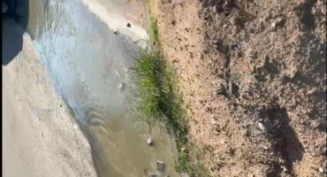 Sewage spillage on Heyneke Street. Photo: Supplied