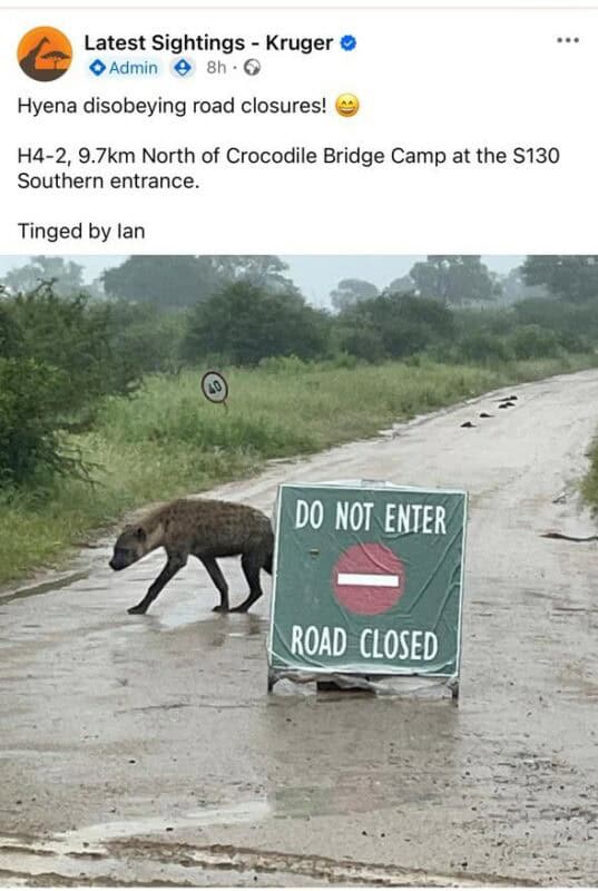 Visitors can expect heavy rainfall in the Kruger National Park. > Photo: Facebook/Latest Sightings - Kruger