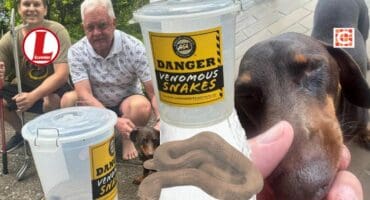 Slangvanger Stefan Hannan, Leon van Nierop en die held van die dag, Wolfgang. Foto's: Verskaf/ Werner Klopper.