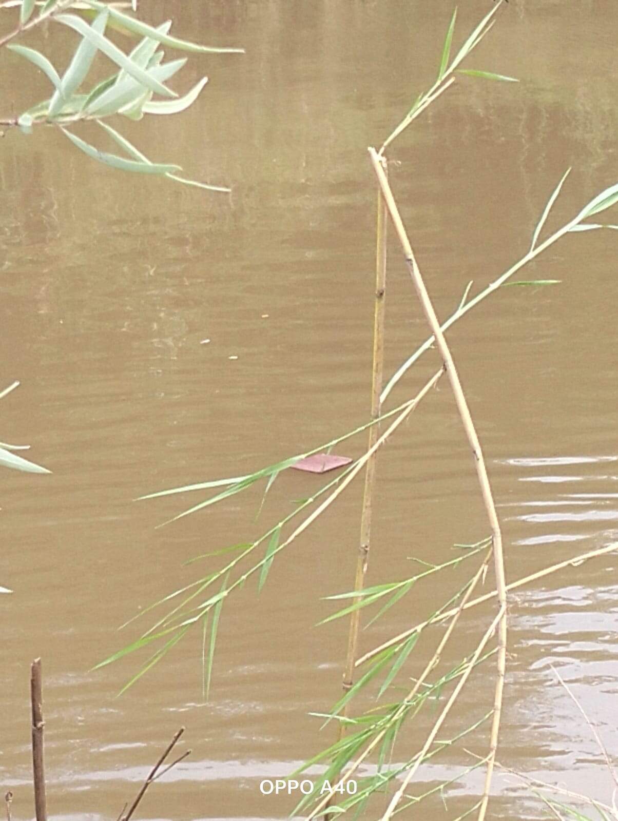 The wallet that was found flouting in the water.