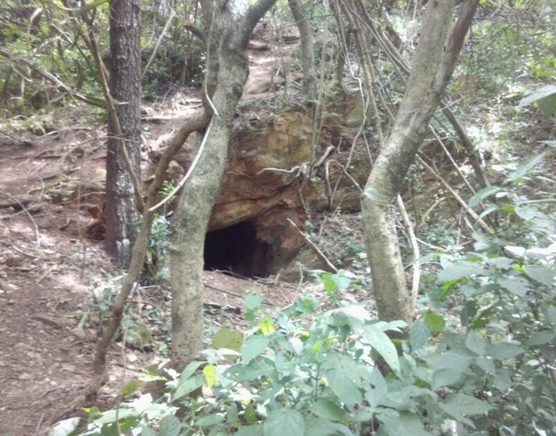 The 'diggings' a resident found on the banks of Rose Creek. > Photo: Supplied/Alex Henssa