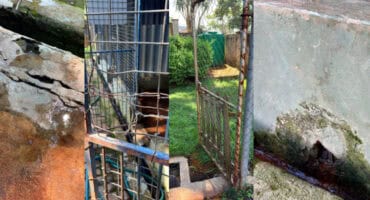 Infrastructure at White River SPCA that needs repair and maintenance. > Photos: Supplied/Estelle de Villiers