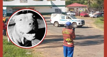 For illustration purposes