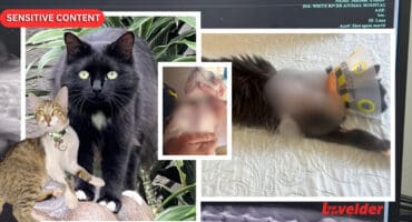 Luna and Miley. > Photos: Supplied/Felicia Kritzinger & Ettalize Maclean