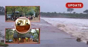 Following the severe floods in January, which caused extensive damage to roads, bridges, tourism facilities and staff accommodation, restoration efforts are ongoing in the Kruger National Park (KNP).