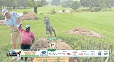 The famous Jock of the Bushveld statue at Mbombela Golf Club. > Photo: Supplied/Cameron Borcher