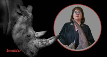 Na dekades se stryd teen georganiseerde misdaad en renosterstropery, vind Adv. Ansie Venter nou vreugde in beskuit bak.