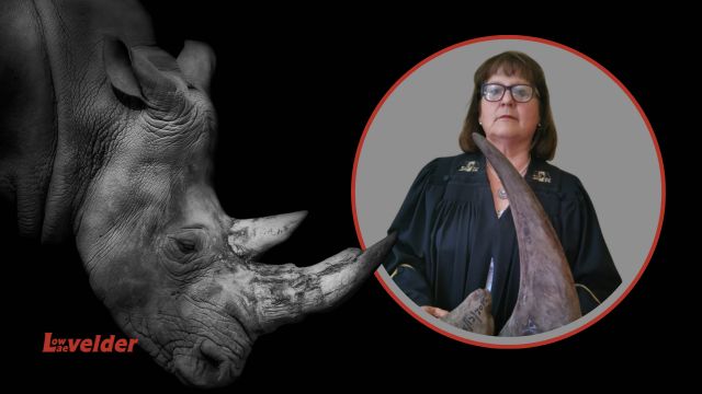 Formidabele advokaat verruil hofsaal vir beskuitbak