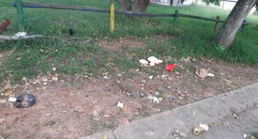 Litter at Golden Park in Steiltes. > Photos: Supplied