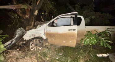 A suspect fleeing from law enforcement in Mbombela crashed into a tree and was arrested. > Photo: Supplied/SAPS