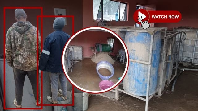 VIDEO | Illegal gold processing laboratory raided in Barberton; two arrested
