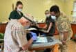 A dog is examined by dental specialists. > Photo: Supplied/SANParks