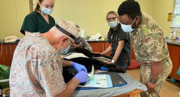 A dog is examined by dental specialists. > Photo: Supplied/SANParks