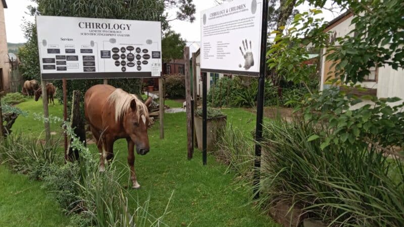 Kevin Leak se kantoor op Kaapsehoop.