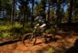 Ruben le Roux. > Photos: Supplied/Willhinphotography