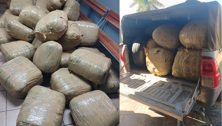 Mpumalanga police net driver with R3m dagga haul