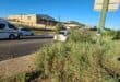 Grass covering the pavement. > Photo: Tumelo Waga Dibakwane