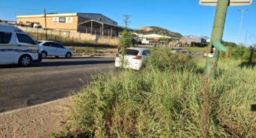 Grass covering the pavement. > Photo: Tumelo Waga Dibakwane