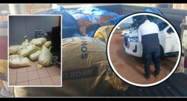 The dagga bags. The 36-year-old suspect. > Photos: Supplied/Mpumalanga SAPS