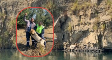 A goat stranded beside a dam. Oupa Zulu and his goat. > Photos: Supplied/ Captain Pottie Potgieter