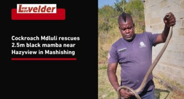Cockroach Mdluli with the rescued 2.5m mamba. > Photo: Supplied/Cockroach Mdluli