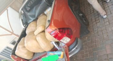 The dagga that was confiscate from the suspects. > Photo: Supplied/SAPS