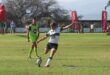 Ewan van der Merwe. >Foto: Zané Botes