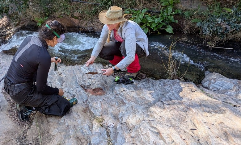 Prof Roerdink and her PhD-student prepare to sample a baryte layer at Londozi Creek near the Eswatini border. > Photo: Supplied/Paul Mason