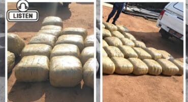 The dagga that was seized. > Photos: Supplied/SAPS
