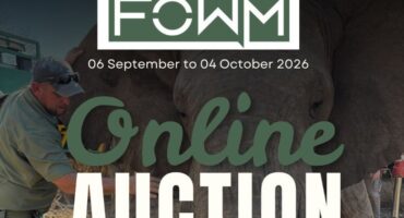 An auction notice. > Photos: Supplied