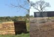 Some of the shack that faces a possible demolition. > Photos: Tumelo Waga Dibakwane