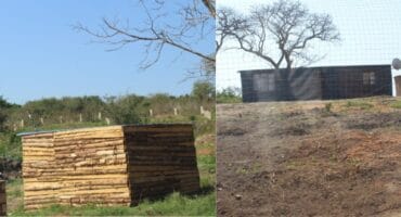 Some of the shack that faces a possible demolition. > Photos: Tumelo Waga Dibakwane